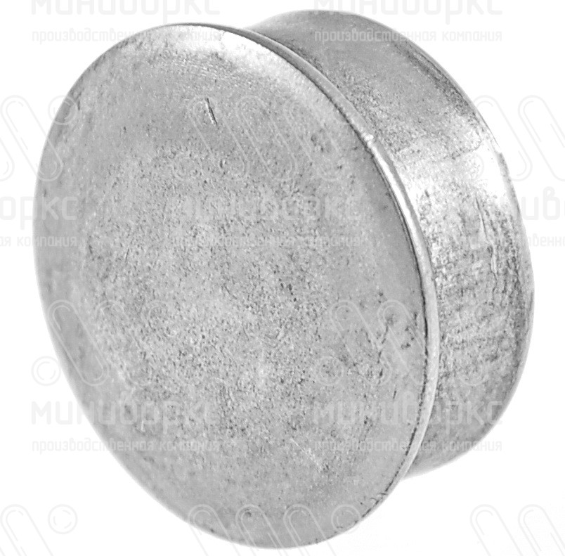 Заглушки для круглой трубы 30 – 110217667F | картинка 2